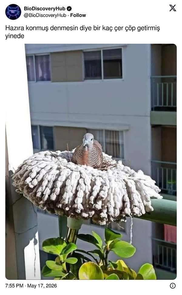 O da bir katkıdır.