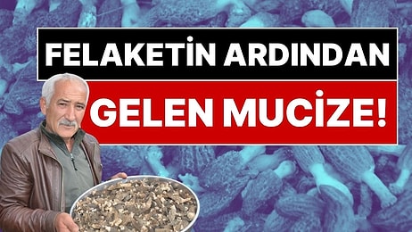 Felaketin Ardından Gelen Mucize: Yanan Ormandan Köylüyü Zengin Eden Mantar Fışkırdı, Kilosu 7 Bin 500 Lira!
