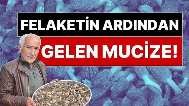 Felaketin Ardından Gelen Mucize: Yanan Ormandan Köylüyü Zengin Eden Mantar Fışkırdı, Kilosu 7 Bin 500 Lira!