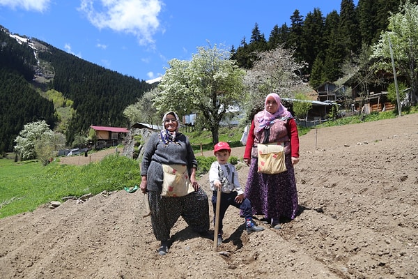 Bölgenin yüksek dağ derelerinden gelen buz gibi temiz sularla sulanan tarım arazilerinde hiçbir yapay müdahale bulunmuyor.