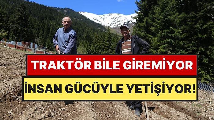 1400 Rakımda İmeceyle Üretiyorlar: Artvinli Köylülerin El Emeğine Türkiye’nin Her Yerinden Talep Var