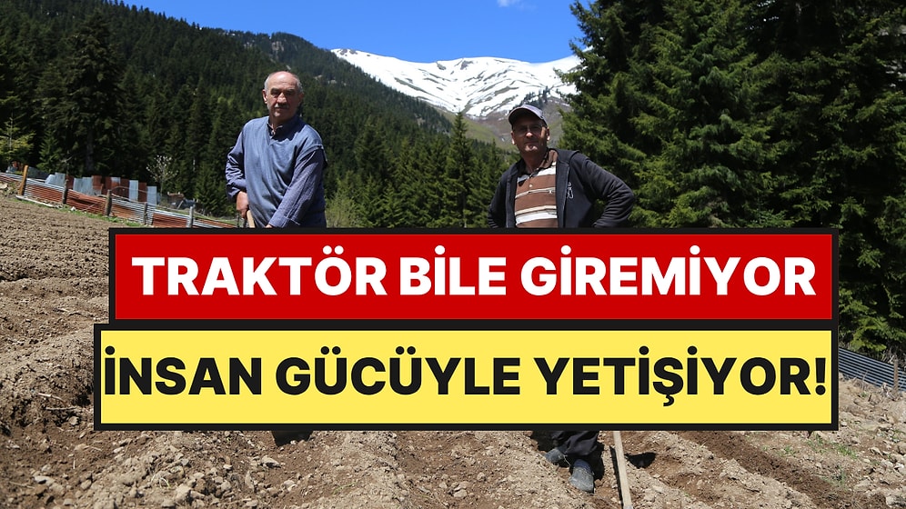 1400 Rakımda İmeceyle Üretiyorlar: Artvinli Köylülerin El Emeğine Türkiye’nin Her Yerinden Talep Var