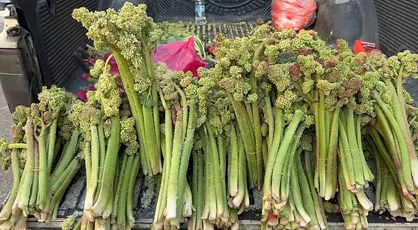 Bölge Halkının Yoğun İlgi Gösterdiği Bitki Yüksek Antioksidan Bileşenleri Barındırıyor