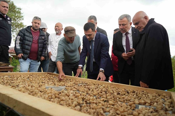 Kısıtlı tarım alanlarından elde edilen yüksek rekolte yüzleri güldürüyor
