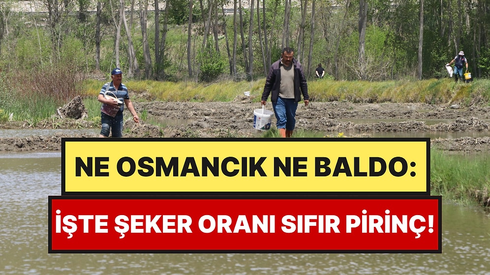 Dağ Suyuyla Yetişiyor, İçinde Hiç Şeker Yok: Her Yıl 500 Ton Hasat Ediliyor
