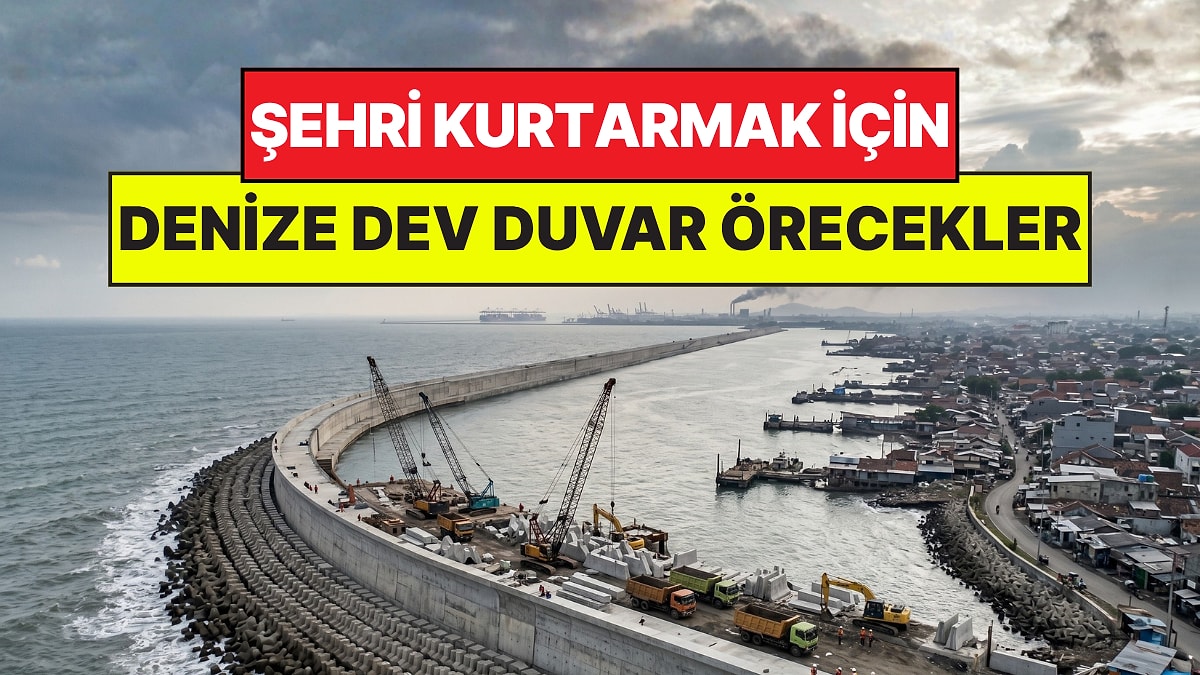 Şehri Kurtarmak İçin Denize 575 Kilometrelik Duvar Örecekler: 80 Milyar Dolara Mal Olacak