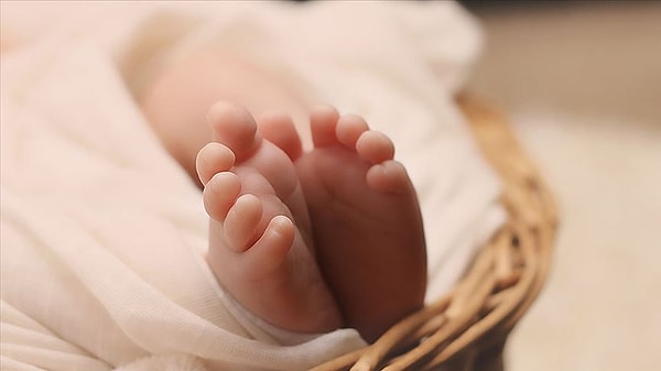 Population alert in Turkey: Fertility rates hit an all-time low!