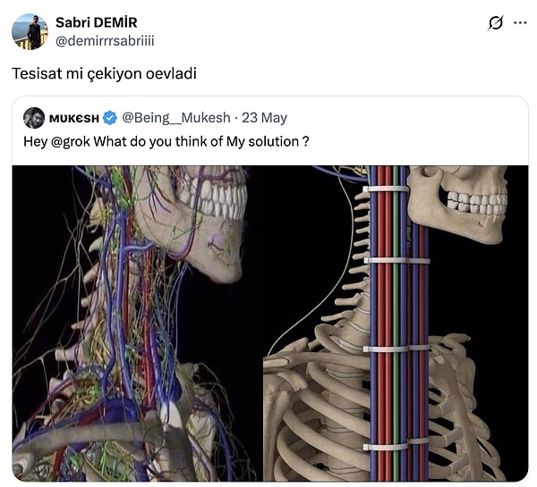 Kime akıl veriyorsun?