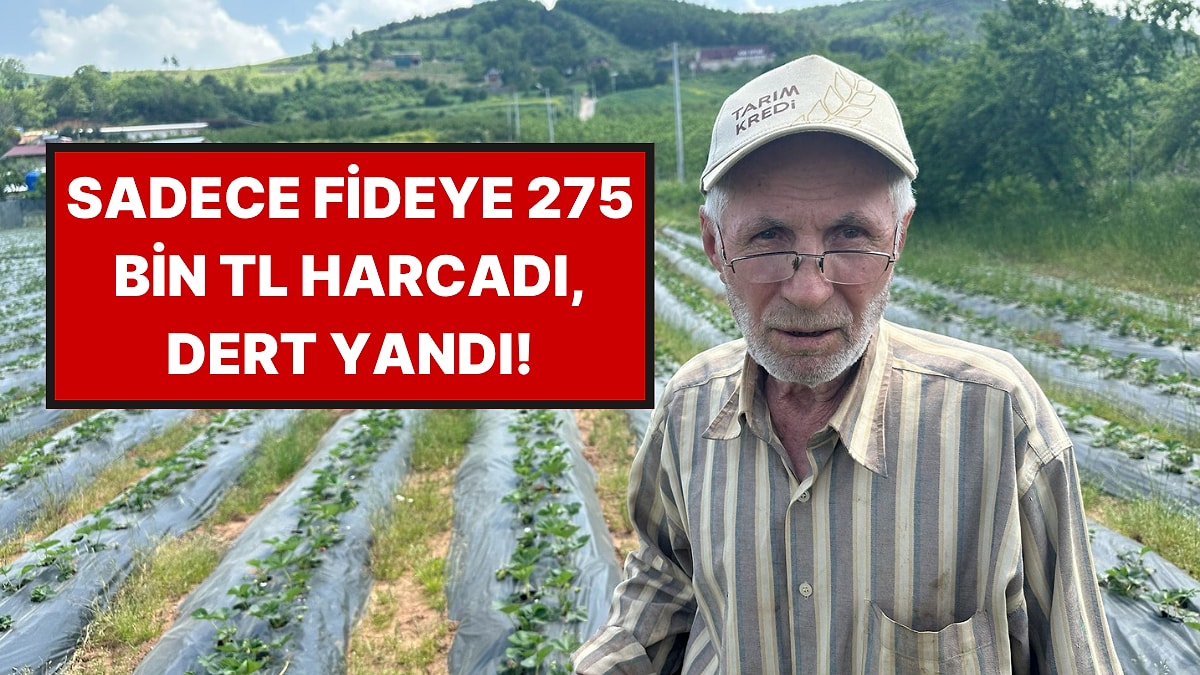 Hasadı Başladı Ama Fiyatlar El Yakacak: Üretici Maliyetleri Tek Tek Açıkladı!