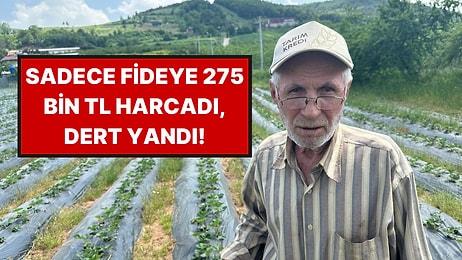 Hasadı Başladı Ama Fiyatlar El Yakacak: Üretici Maliyetleri Tek Tek Açıkladı!