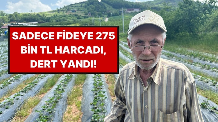 Hasadı Başladı Ama Fiyatlar El Yakacak: Üretici Maliyetleri Tek Tek Açıkladı!