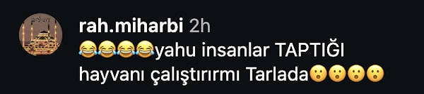 👇