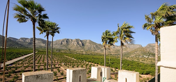 The new owner is required to meticulously manage the thriving orange grove and regularly take on the maintenance of the vast forested area.
