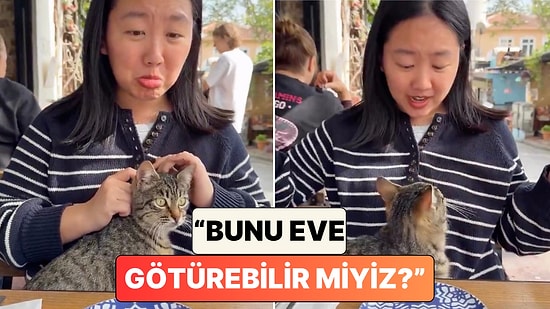 ABD'li Bir Turist Türkiye Gezisi Sırasında Tekir Kediyle Yaşadığı Sıcacık Anları Paylaştı