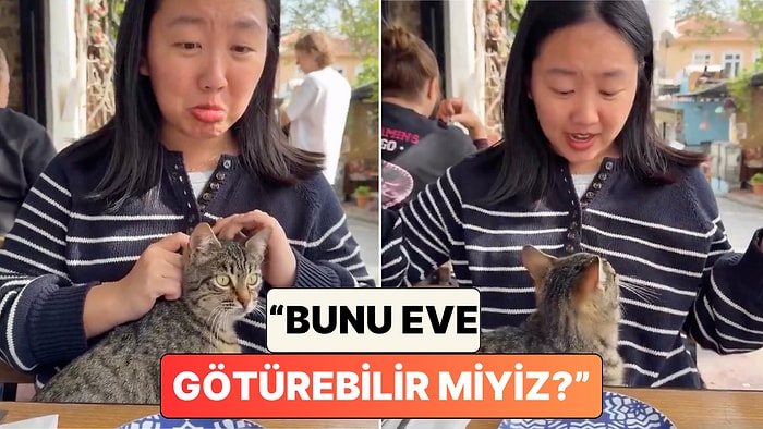 ABD'li Bir Turist Türkiye Gezisi Sırasında Tekir Kediyle Yaşadığı Sıcacık Anları Paylaştı