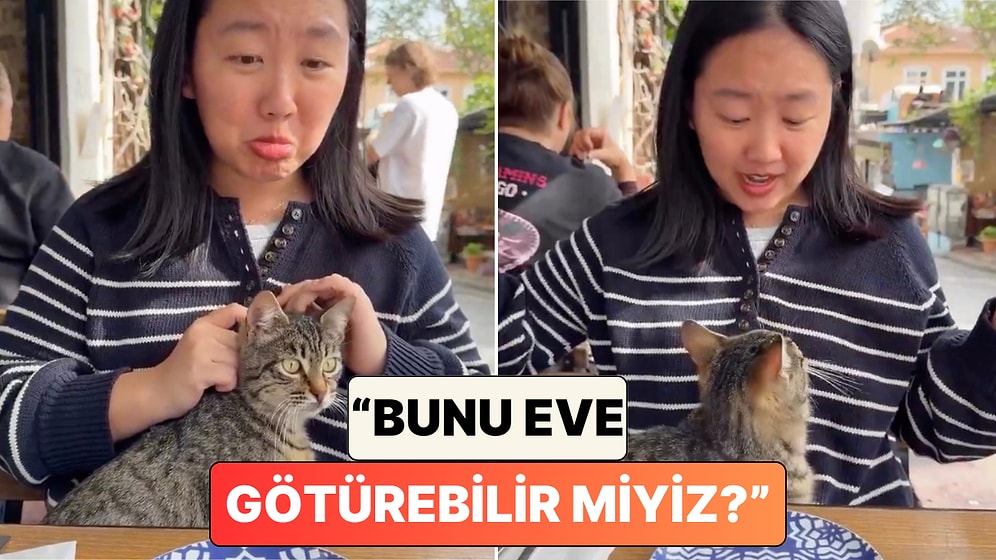 ABD'li Bir Turist Türkiye Gezisi Sırasında Tekir Kediyle Yaşadığı Sıcacık Anları Paylaştı