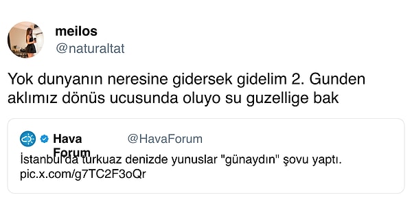 👇