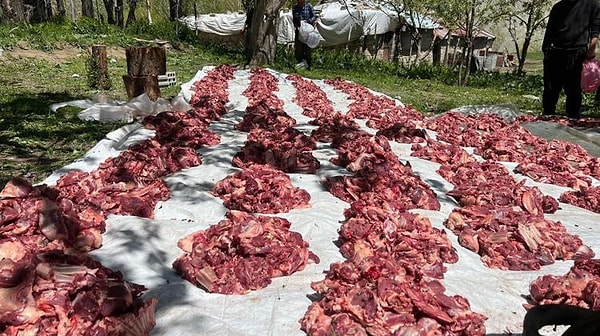 Kesilen Kurban Etleri Maddi Durum Gözetilmeksizin Tüm Hanelere Dağıtıldı