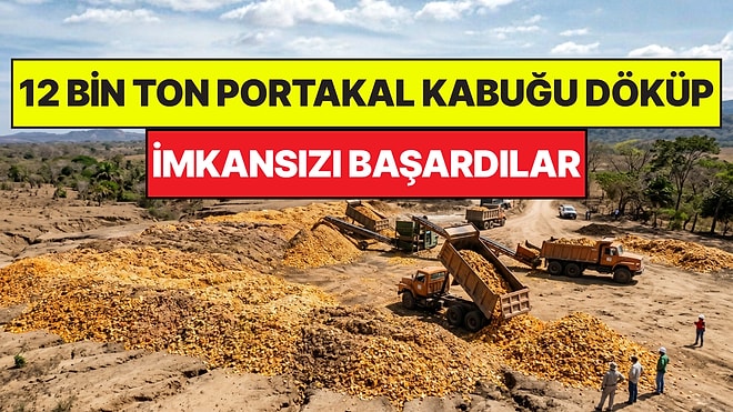 Çorak Arazilere 12 Bin Ton Portakal Kabuğu Bırakarak İmkansızı Başardılar