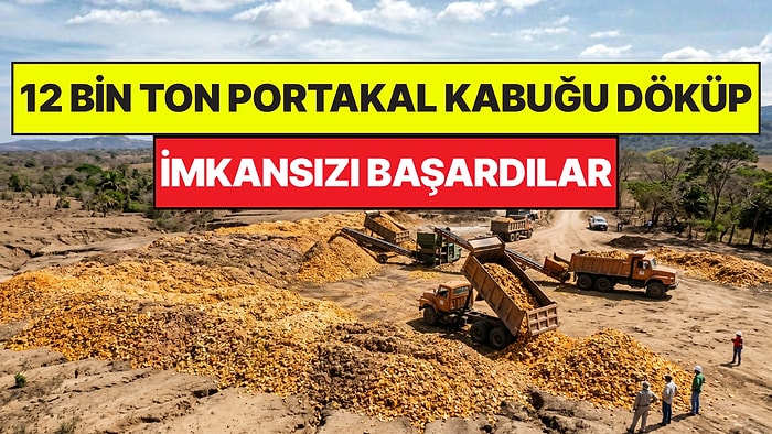 Çorak Arazilere 12 Bin Ton Portakal Kabuğu Bırakarak İmkansızı Başardılar