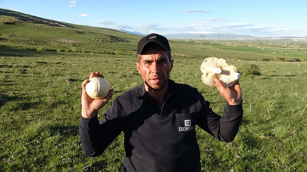Yaylalardan toplanan doğal mantarlar, hem evlerdeki sofraları süslüyor hem de pazar ve hallerde satışa sunularak vatandaşlar için önemli bir ek gelir kapısı oluşturuyor.
