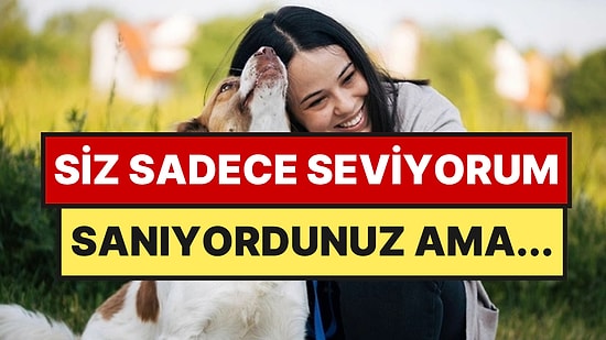 Psikolojiye Göre Sokakta Köpek Sevmenin Aslında Bambaşka Bir Anlamı Var