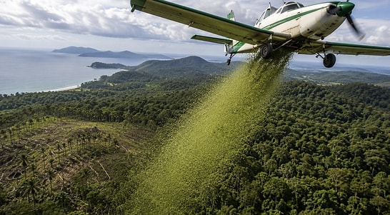 They Dropped 700,000 Seeds From Helicopters to Change the Region's Destiny