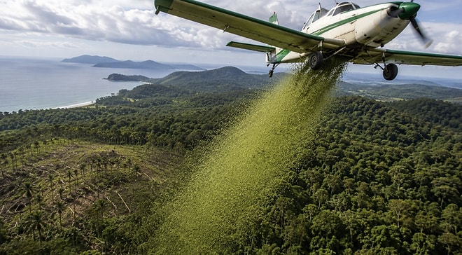 They Dropped 700,000 Seeds From Helicopters to Change the Region's Destiny