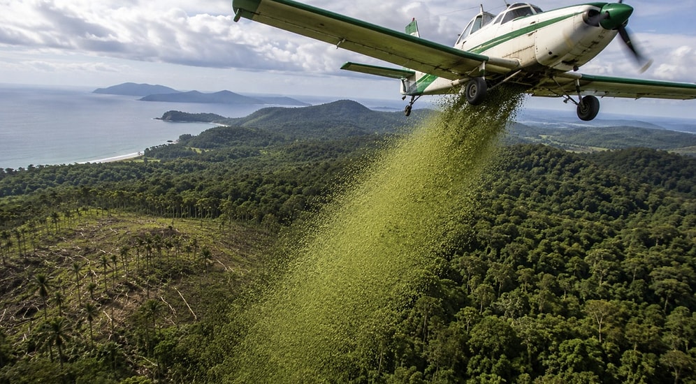 They Dropped 700,000 Seeds From Helicopters to Change the Region's Destiny