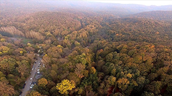 "Gerektiğinde enerji kesintisi uygulayacaktır."