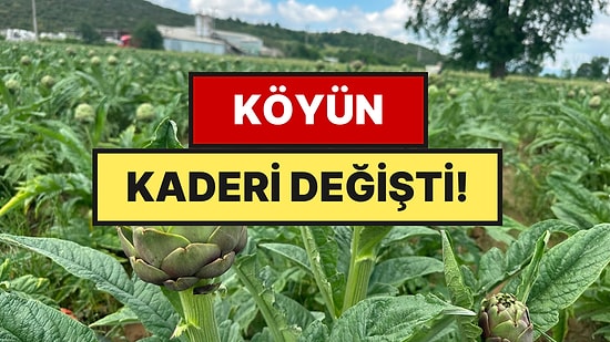Manda Köyünde Bu Yıl 4 Milyondan Fazla Üretildi: Tanesi 20 Liradan Satılıyor
