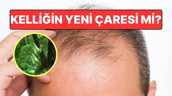 Kadim Çin Bitkisi Kelliğe Karşı Umut Verdi: Saç Köklerini Yenileyebilir