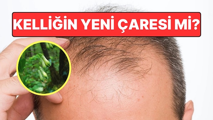 Kadim Çin Bitkisi Kelliğe Karşı Umut Verdi: Saç Köklerini Yenileyebilir