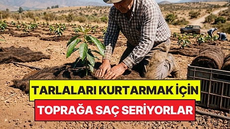 Tarlalarını Kurtarmak İçin Toprağa İnsan Saçlarını Sermeye Başladılar