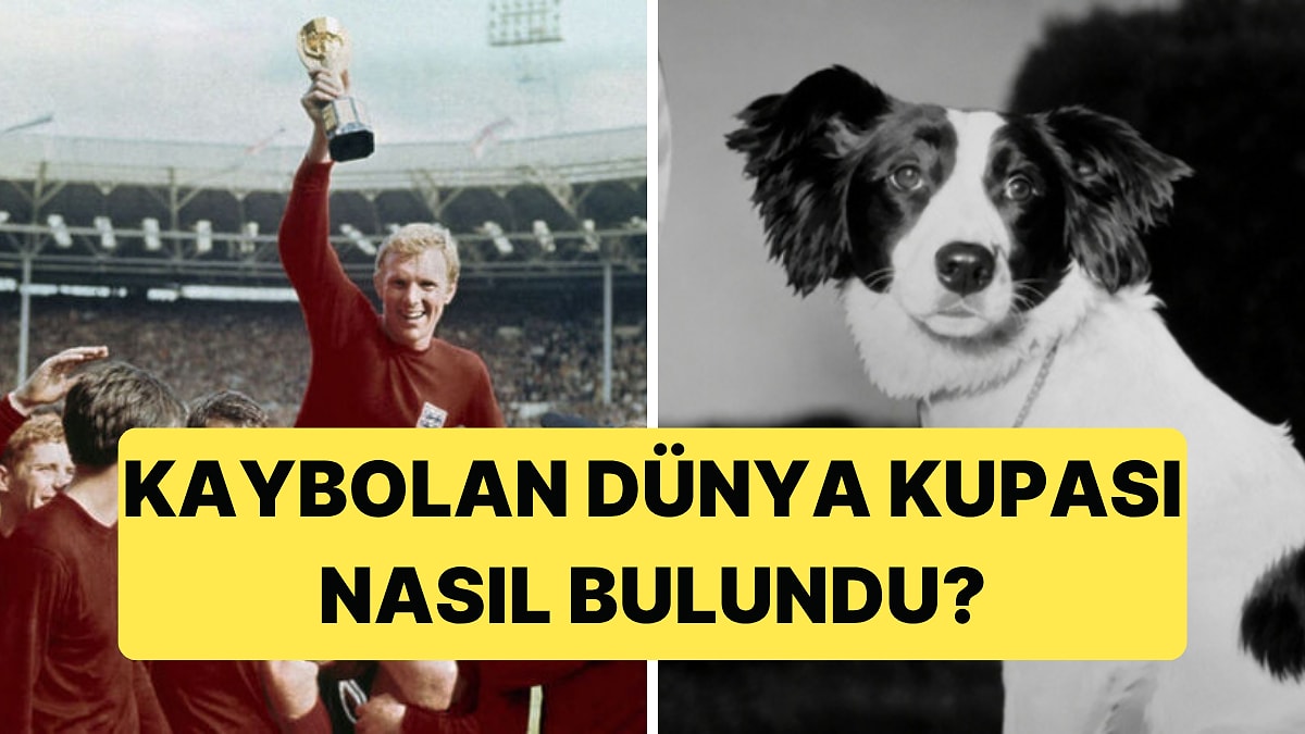 1966 Yılında Kaybolan Dünya Kupası, Pickles İsimli Köpek Sayesinde Bulundu