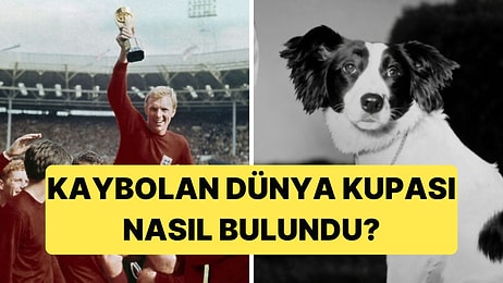 1966 Yılında Kaybolan Dünya Kupası, Pickles İsimli Köpek Sayesinde Bulundu