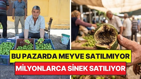 Bu Pazarda Meyve Değil Sinek Satılıyor: Her Birinin İçinde Milyonlarca Sinek Var