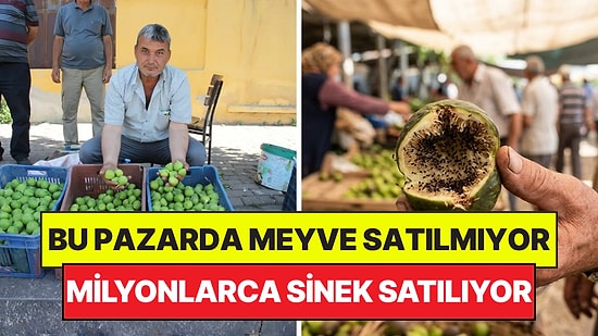Bu Pazarda Meyve Değil Sinek Satılıyor: Her Birinin İçinde Milyonlarca Sinek Var