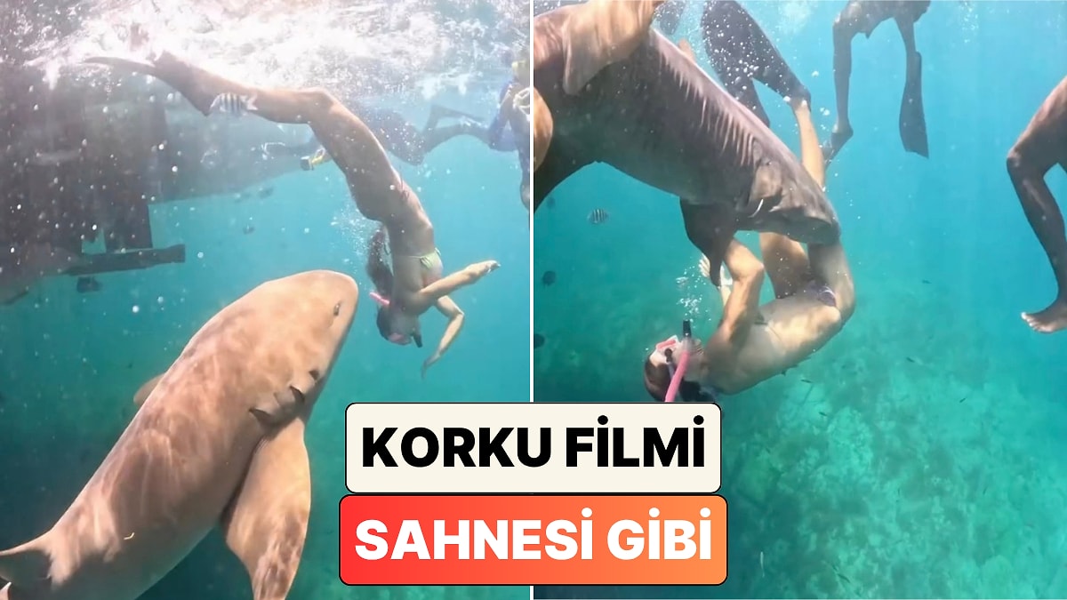 Bir kadın dalış yaptığı sırada köpek balığı tarafından ısırıldığı anları paylaştı