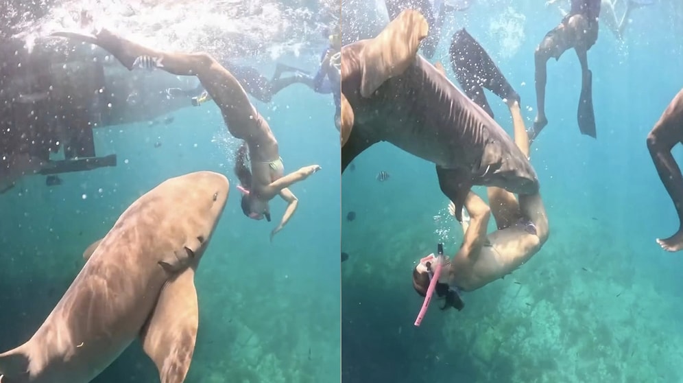 Nightmare Underwater: Woman Shares Terrifying Footage of Being Bitten by a Shark