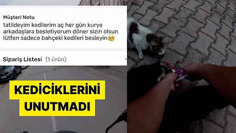 Tatile Çıktığı İçin Mahalledeki Kedileri Besleyemeyen Kadının Yöntemi Beğeni Aldı