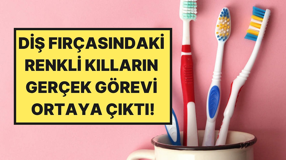 Diş Hekimleri Açıkladı: Diş Fırçası Kıllarının Renkleri Aslında Ne Anlama Geliyor?