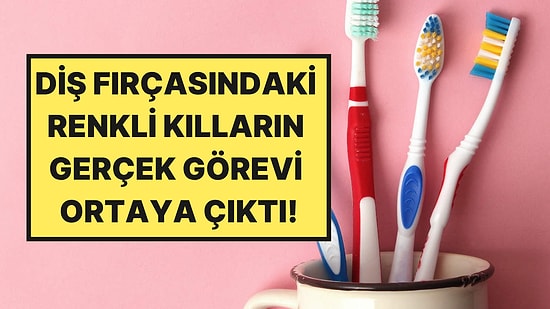 Diş Hekimleri Açıkladı: Diş Fırçası Kıllarının Renkleri Aslında Ne Anlama Geliyor?