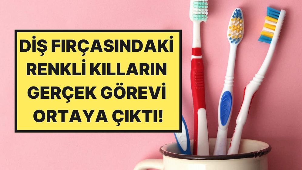 Diş Hekimleri Açıkladı: Diş Fırçası Kıllarının Renkleri Aslında Ne Anlama Geliyor?