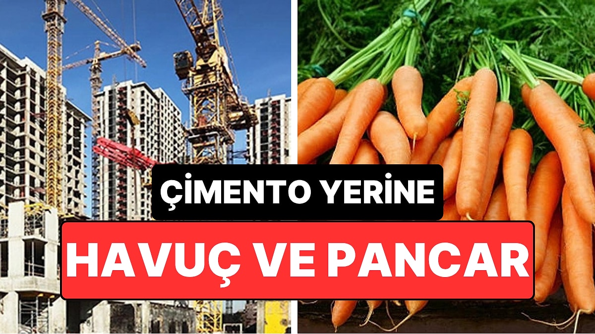 İnşaatta Ezber Bozan Buluş: Havuçlu Beton Geliyor!