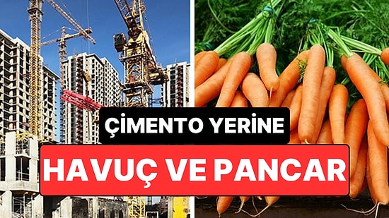 Betona Havuç ve Pancar Atıkları Eklenerek Daha Sürdürülebilir Yapılar Hedefleniyor