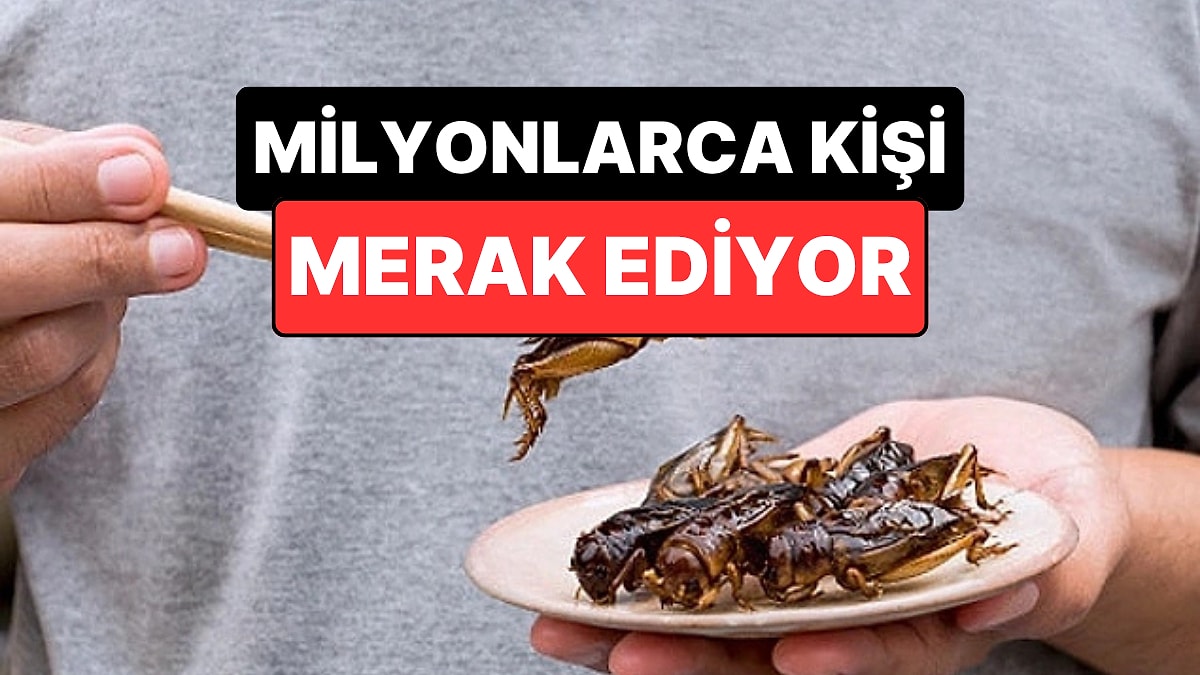 Tabaktaki Sürpriz: Böcek Yemek Sandığımızdan Daha mı Cazip?