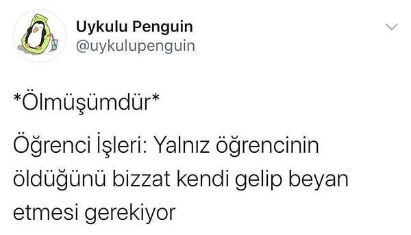 👇