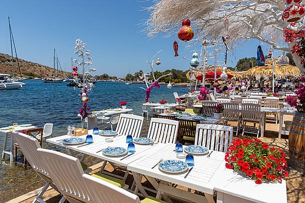 Bodrum Tavern Prices and Reservation Guide - 2026