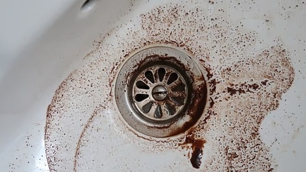 Experts are drawing attention to other popular substances, in addition to milk, that should never be poured down the sink while cleaning in the kitchen: